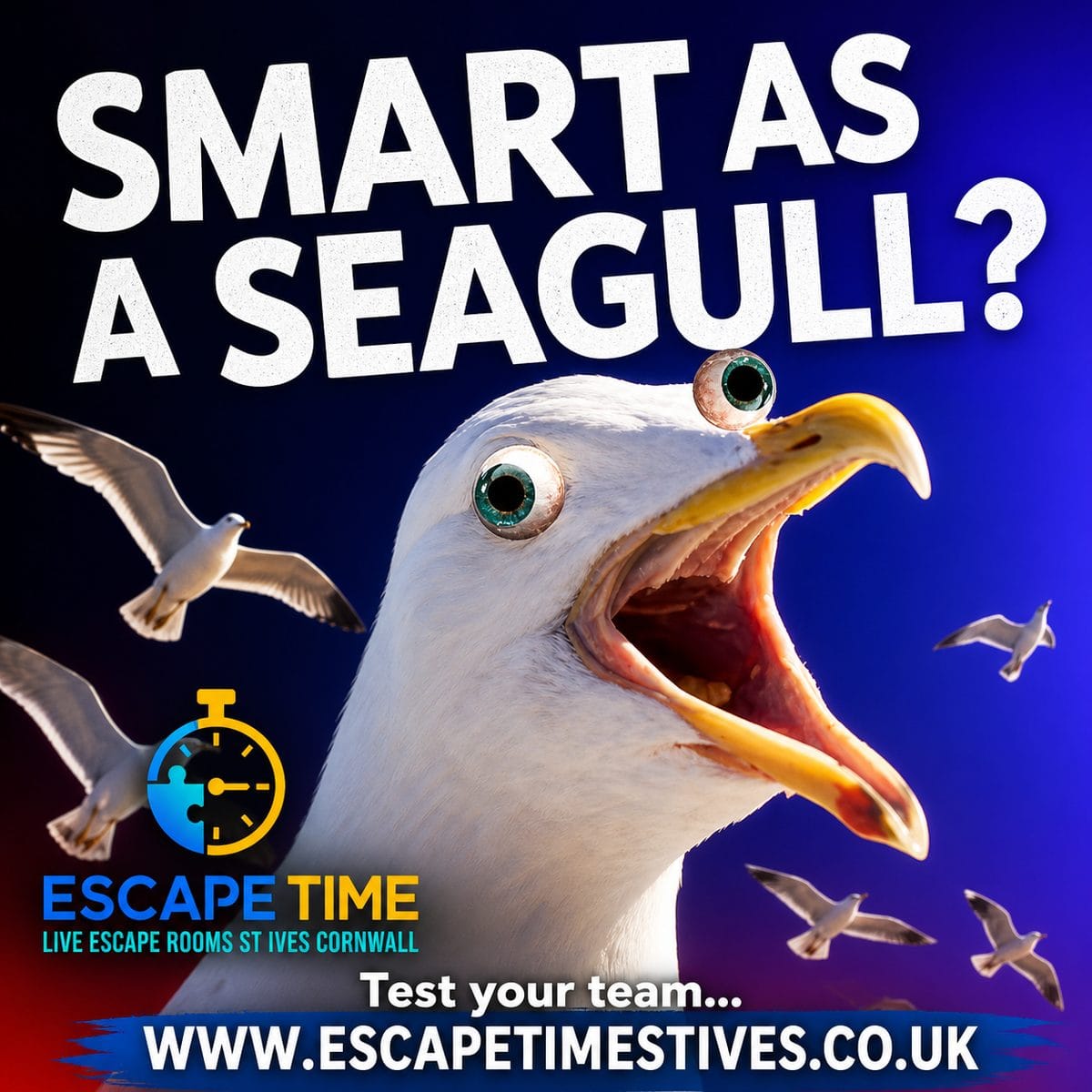 Smart as a seagull? Escape Time St Ives team-building escape room challenge